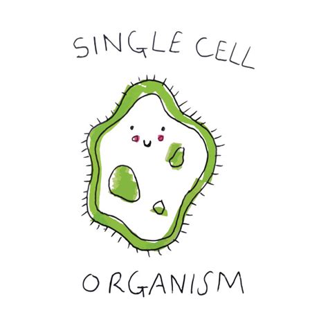 cute cell cell biology  shirt teepublic