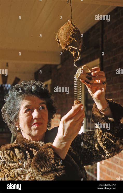 enid blyton english childrens writer     green hedges