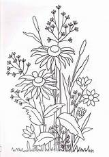 Colouring Wildflower 1368 Rudbeckia Bunch Liveinternet sketch template
