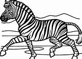 Zebra Coloring Zebre Zèbre Colorindo Coloriages Designlooter Premier Zebras Educativeprintable Asthenic sketch template