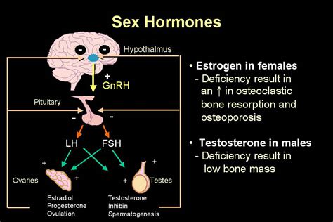 asbmr educational materials