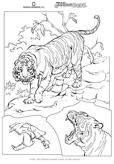 national geographic coloring fish coloring pages