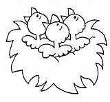 Nid Nido Ninho Uccellini Pajaritos Aves Oiseaux Niu Arbol Colorier Passarinhos Oisillons Dibuix Ocells Infantil Uccelli Acolore Stampare Coloriages Galinha sketch template