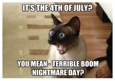 happy and funny 4th of july memes that every american can laugh funny