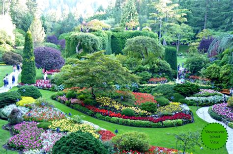 spectacular butchart gardens vancouver island view