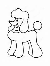 Poodle Mycoloring sketch template