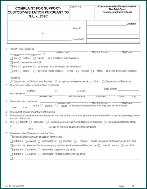 petition  child custody forms illinois form resume examples