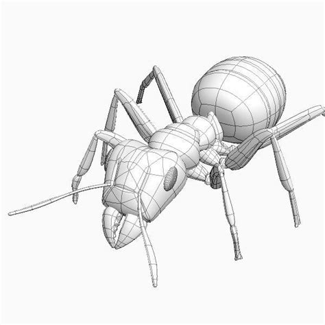 red ant 3d model cgtrader