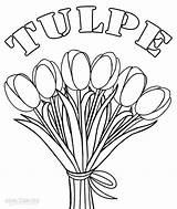 Tulip Tulpe Tulipanes Dibujo Cool2bkids Applique Bordar Ausdrucken Getdrawings sketch template