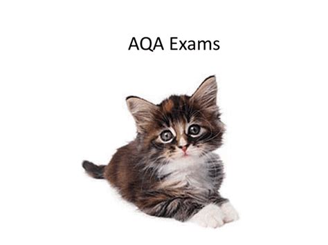 aqa exam advice