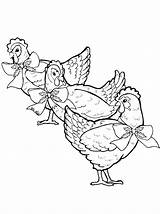 Coloring French Pages Hen Little Red Revolution Getcolorings Hens Chicken Getdrawings sketch template