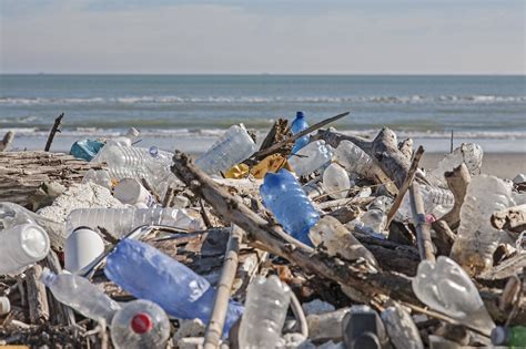 nachhaltigkeit plattform gegen plastik