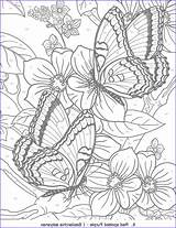 Butterflies Deta sketch template