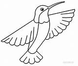 Hummingbird Coloring Pages Print Printable Ruby Throated Drawing Bird Kids Book Color Colouring Sheets Cool2bkids Step Stencils Pattern Getdrawings Clipartmag sketch template