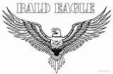 Eagle Bald Coloring Pages Kids Eagles Wingspan Printable Color Coloring4free Cool2bkids Drawing Colouring Head Tattoo Choose Board Ages sketch template
