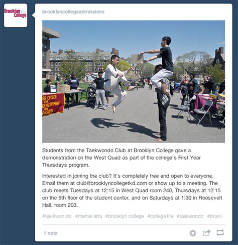 posting on tumblr text posts vs photo posts brooklyn college social media how to