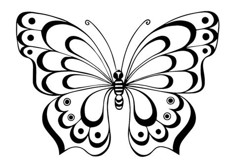 faaaffffdfcebajpg  butterfly stencil