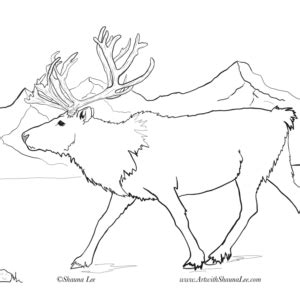 alaska coloring page   coloring pages color creative kids