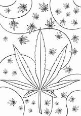 Weed Marijuana Supercoloring K5worksheets sketch template