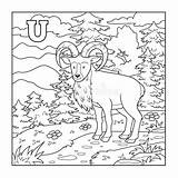 Illustration Urial Letter Coloring Book Preview sketch template