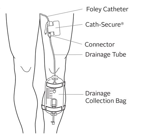 pin  nurse urinary system