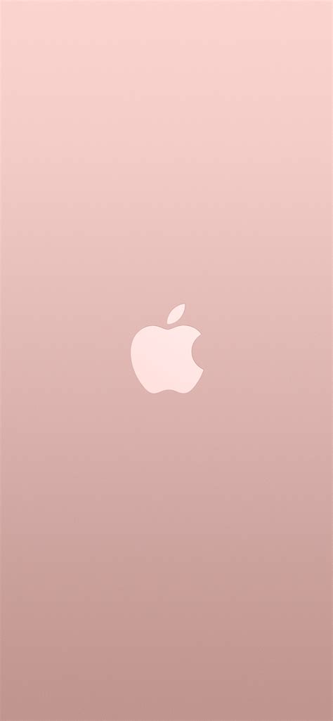apple iphone wallpaper au15 logo apple pink rose gold