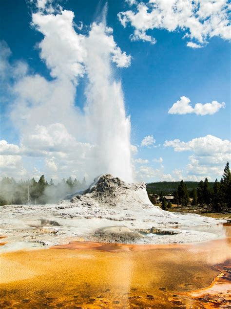 yellowstone national park   information thriftyfun