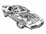 Pontiac Firebird sketch template