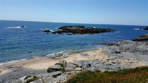 driftwood trearddur bay lodging reviews anglesey