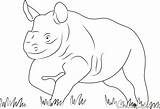 Coloring Rhino Baby Running Pages Coloringpages101 Rhinoceros Printable sketch template