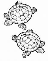Tortue Coloriage Imprimer Dessin Un Colorier Terre Gratuitement Schildkröte Ausmalbilder Choisir Tableau A3 Enfant Petit sketch template