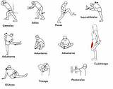 Estiramientos Dibujos Músculos Deporte Calentar Nios Importancia Beneficios Necesidad Mayores Mapfre Muestra Preparar Haciendo sketch template