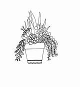 Succulents Coloring Potted sketch template