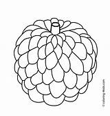 Fruits Apple Custard Coloring Kids Fruit Pages Printable Clipart Drawing Colouring Outline Cliparts Books Printables Apples Food Choose Board sketch template