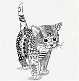 Coloring Pages Cat Zentangle Mandala Adult Adults Cats Kitten Coloriage Ben Kwok Animals Colouring Chat Animal Printable Books Book Patterns sketch template