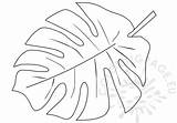 Tropical Leaf Printable Shape Coloring sketch template