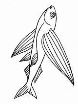 Fish Flying sketch template