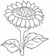 Coloring Sunrise Pages Getcolorings Sunflower sketch template