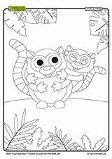 Lemur Malvorlage Malvorlagen Tierchenwelt sketch template