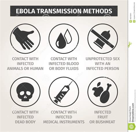Set Icons Ebola Virus Ways Of Transmission Stock Vector Illustration