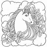 Unicorno Drawn Logotype Gatto Elementi Arcobaleno sketch template