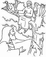Zacchaeus Coloring Jesus Pages Bible Tree Crafts Preschool Story School Kids Craft Activities Zaccheus Para Sunday Clipart Zaqueo Sheets Zacheus sketch template