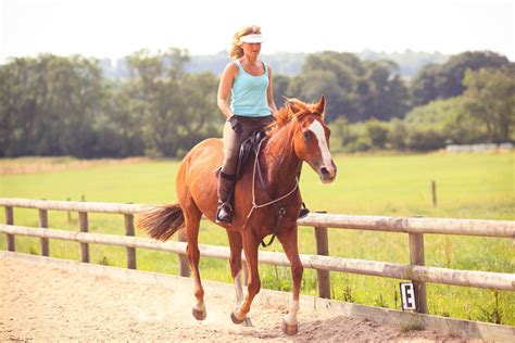 sit  trot horseback riding hints  tips