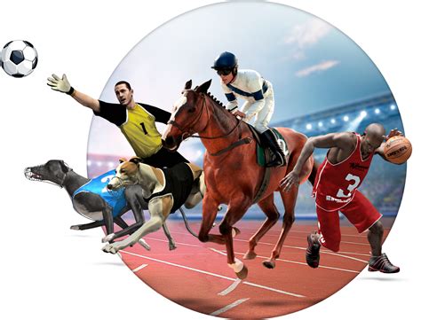 house virtual sports virtual sports betting solutions
