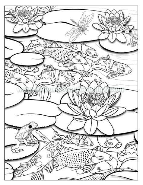 advanced coloring pictures  fish   pond  art jinni koi art