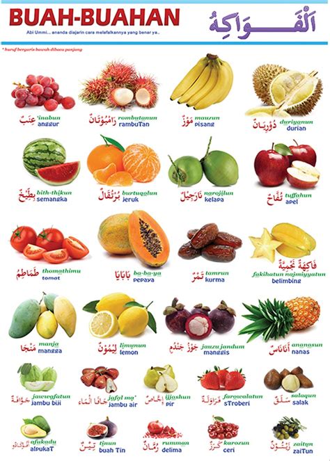 top  nama buah buahan  gambarnya dekorasi taman