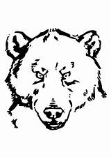 Bear Head Coloring Pages Printable Edupics sketch template