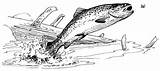 Trout Insect Apache sketch template