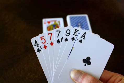 main kartu remi  sederhana cocok  permainan  pemula