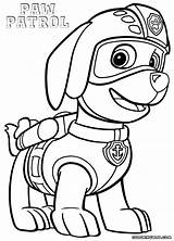 Paw Patrol Zuma Coloring Pages Print Rocky Drawing Printable Color Getcolorings Getdrawings Popular Pdf sketch template